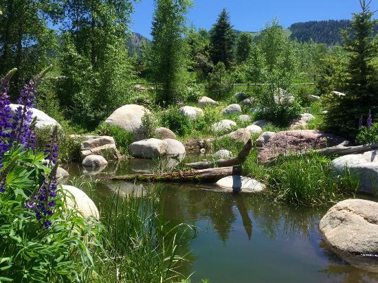 The John Denver Sanctuary